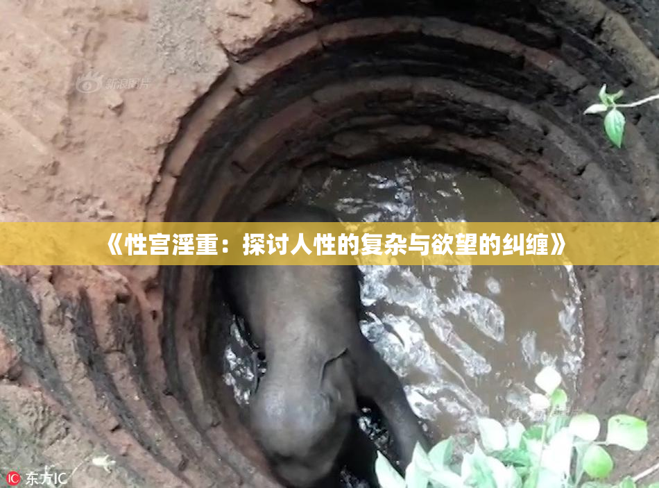 《性宫淫重：探讨人性的复杂与欲望的纠缠》