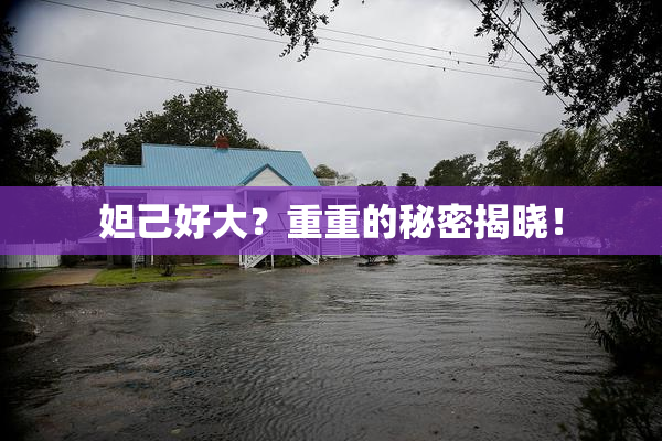 妲己好大？重重的秘密揭晓！
