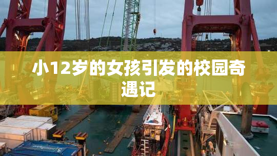 小12岁的女孩引发的校园奇遇记