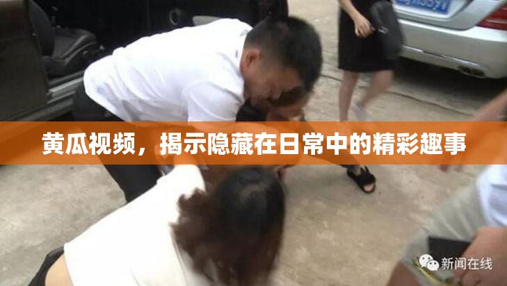 黄瓜视频，揭示隐藏在日常中的精彩趣事