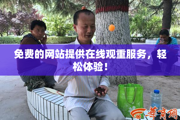 免费的网站提供在线观重服务，轻松体验！