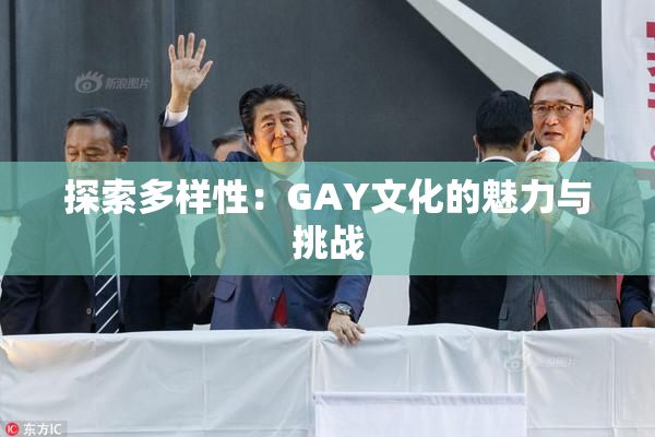 探索多样性：GAY文化的魅力与挑战