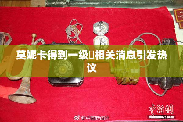 莫妮卡得到一级婬相关消息引发热议