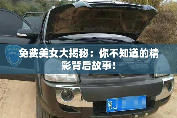 免费美女大揭秘：你不知道的精彩背后故事！