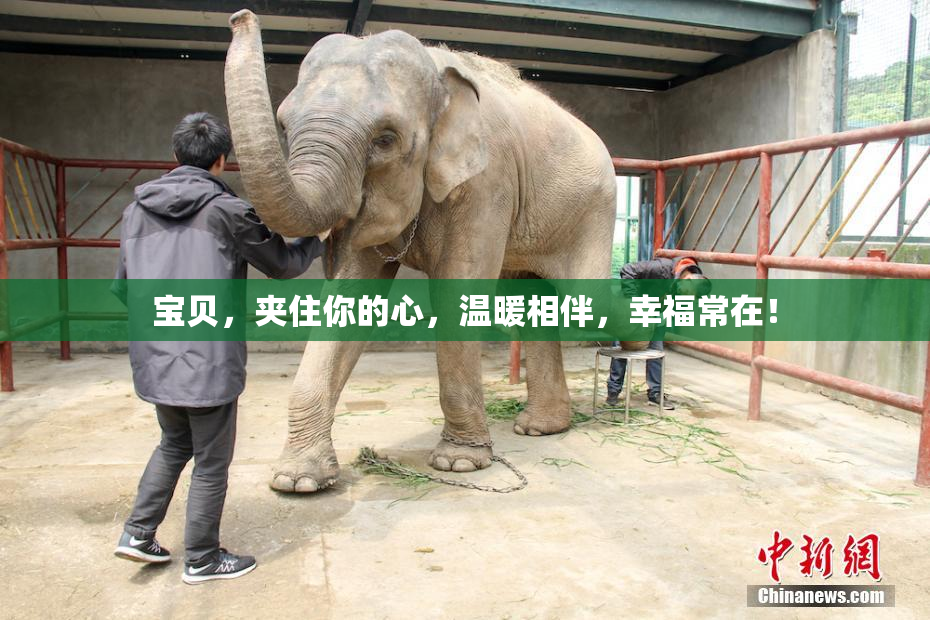 宝贝，夹住你的心，温暖相伴，幸福常在！