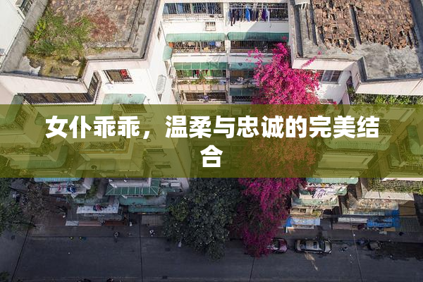 女仆乖乖，温柔与忠诚的完美结合