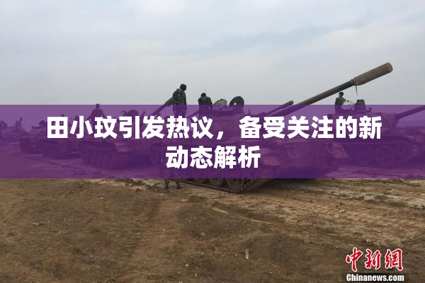 田小玟引发热议，备受关注的新动态解析