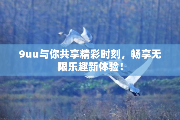 9uu与你共享精彩时刻，畅享无限乐趣新体验！