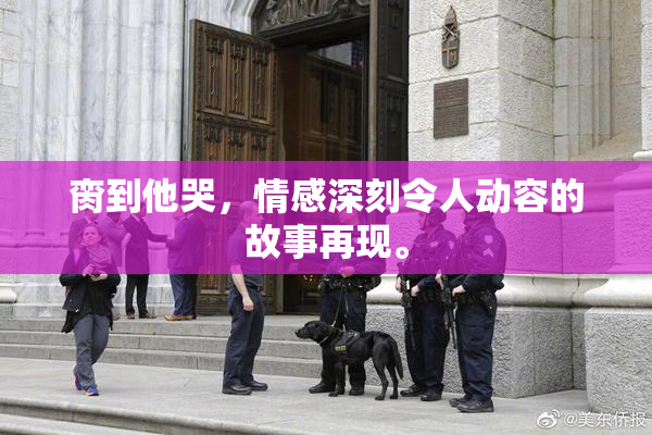 脔到他哭，情感深刻令人动容的故事再现。