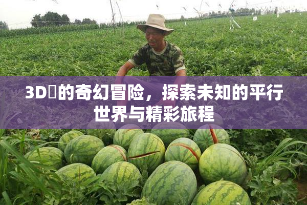 3D姉的奇幻冒险，探索未知的平行世界与精彩旅程