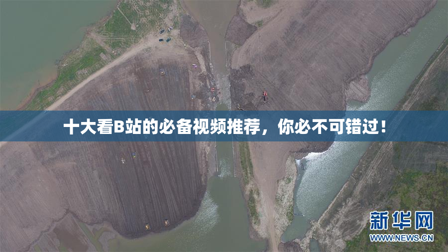 十大看B站的必备视频推荐，你必不可错过！