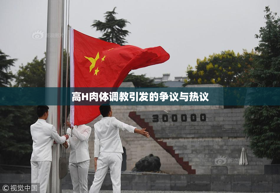 高H肉体调教引发的争议与热议