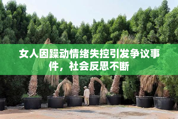 女人因躁动情绪失控引发争议事件，社会反思不断