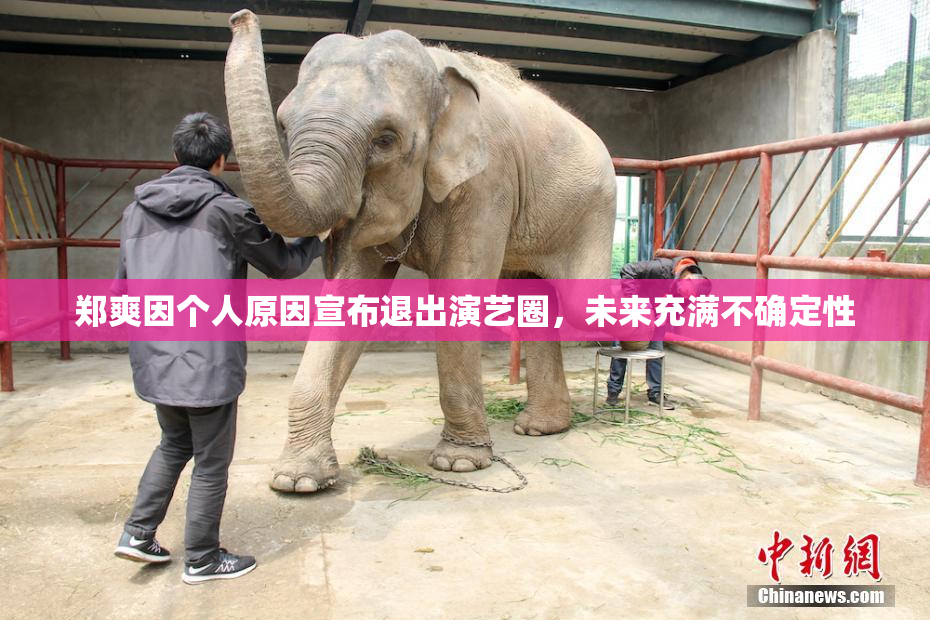 郑爽因个人原因宣布退出演艺圈，未来充满不确定性