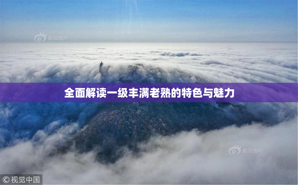 全面解读一级丰满老熟的特色与魅力