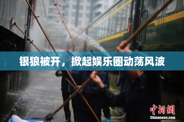 银狼被开，掀起娱乐圈动荡风波
