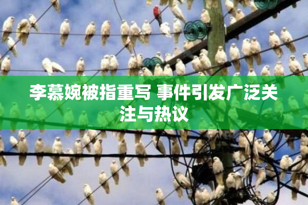 李慕婉被指重写 事件引发广泛关注与热议