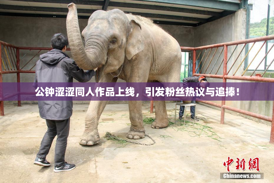 公钟涩涩同人作品上线，引发粉丝热议与追捧！
