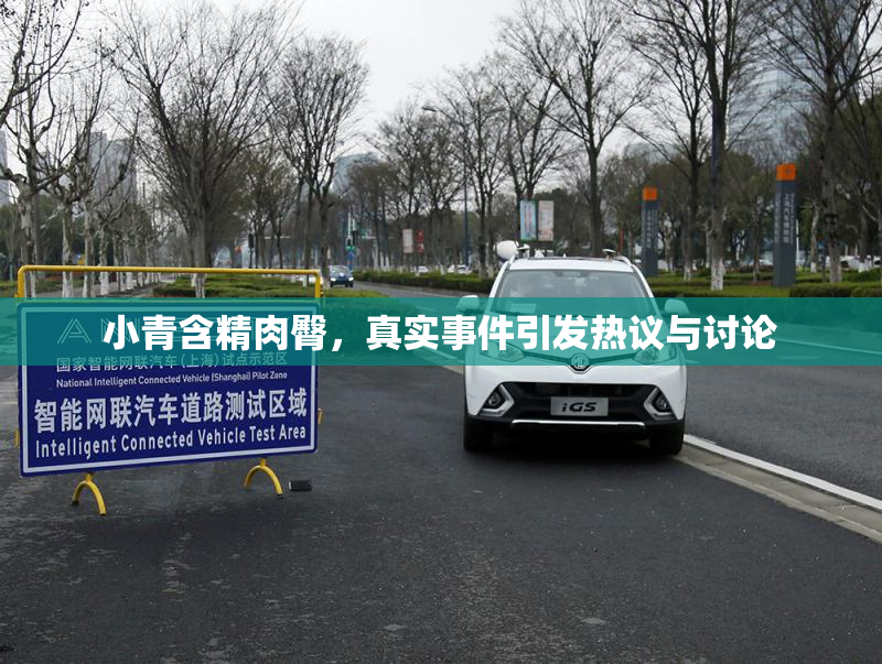 小青含精肉臀，真实事件引发热议与讨论