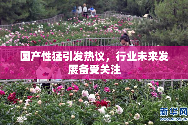 国产性猛引发热议，行业未来发展备受关注