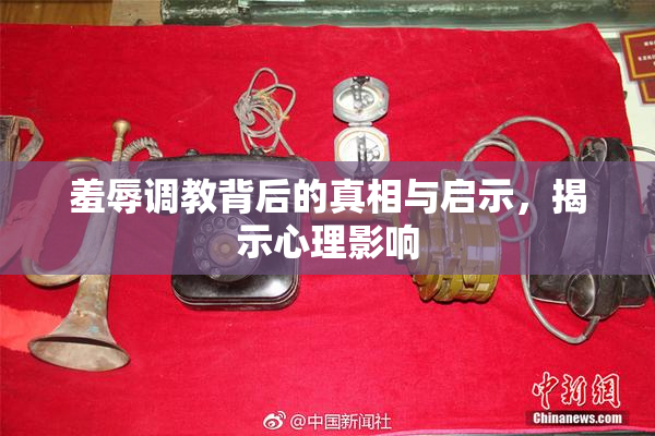 羞辱调教背后的真相与启示，揭示心理影响