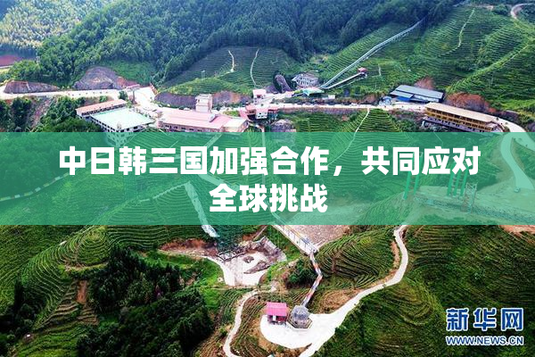 中日韩三国加强合作，共同应对全球挑战