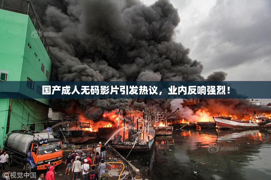 国产成人无码影片引发热议，业内反响强烈！