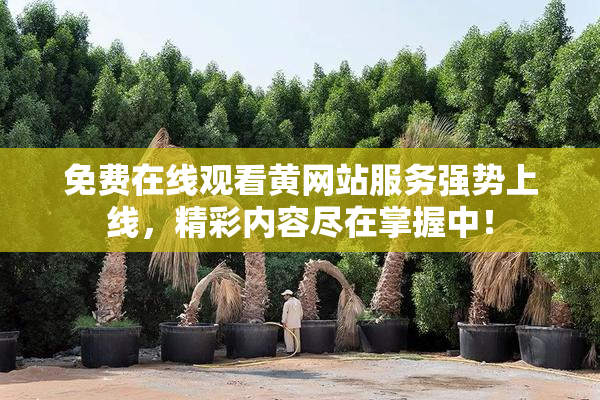 免费在线观看黄网站服务强势上线，精彩内容尽在掌握中！