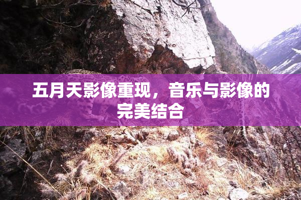 五月天影像重现，音乐与影像的完美结合