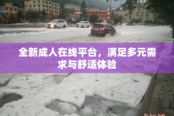 全新成人在线平台，满足多元需求与舒适体验