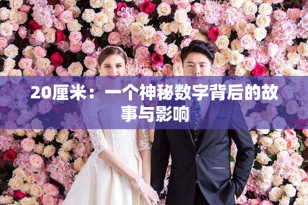 20厘米：一个神秘数字背后的故事与影响