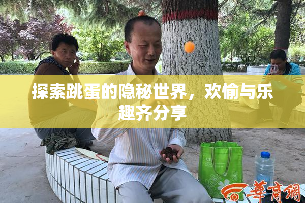 探索跳蛋的隐秘世界，欢愉与乐趣齐分享