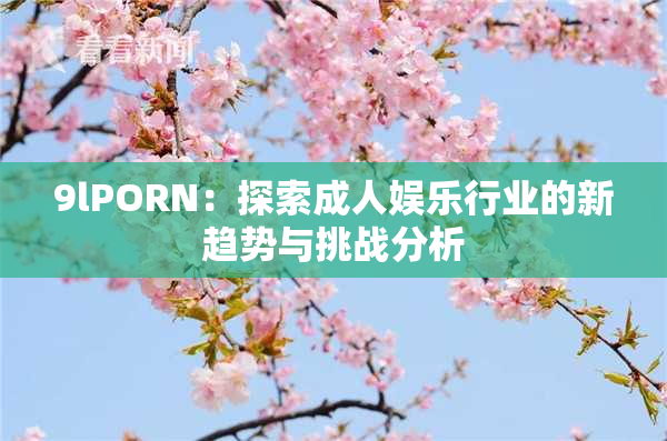 9lPORN：探索成人娱乐行业的新趋势与挑战分析