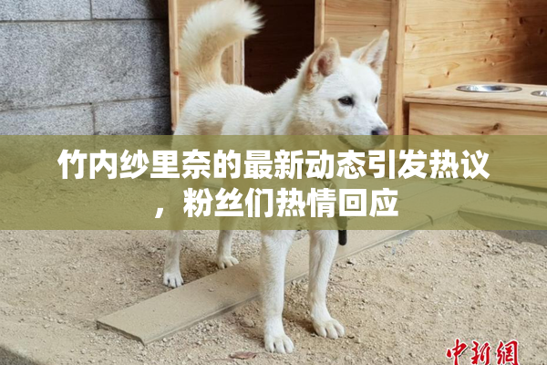 竹内纱里奈的最新动态引发热议，粉丝们热情回应