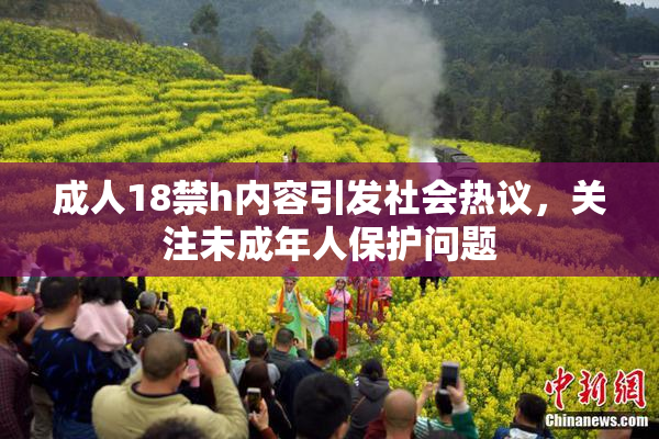 成人18禁h内容引发社会热议，关注未成年人保护问题