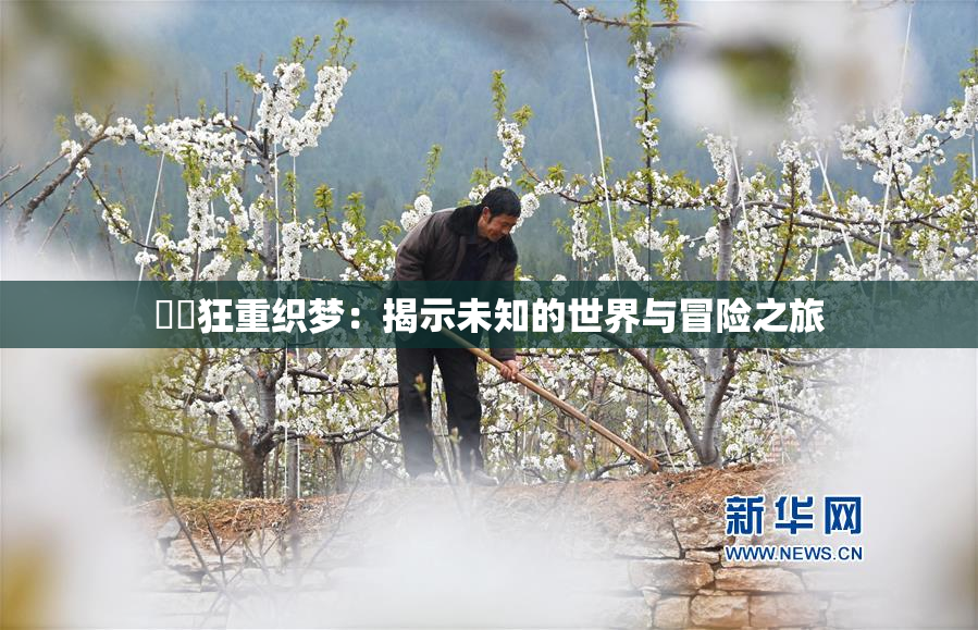 ❌‌狂重织梦：揭示未知的世界与冒险之旅