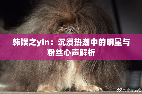 韩娱之yin：沉浸热潮中的明星与粉丝心声解析