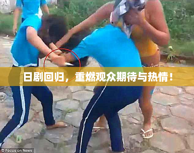 日剧回归，重燃观众期待与热情！