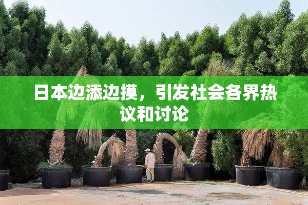 日本边添边摸，引发社会各界热议和讨论