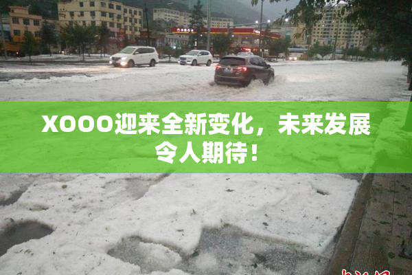 XOOO迎来全新变化，未来发展令人期待！