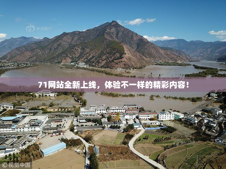 71网站全新上线，体验不一样的精彩内容！