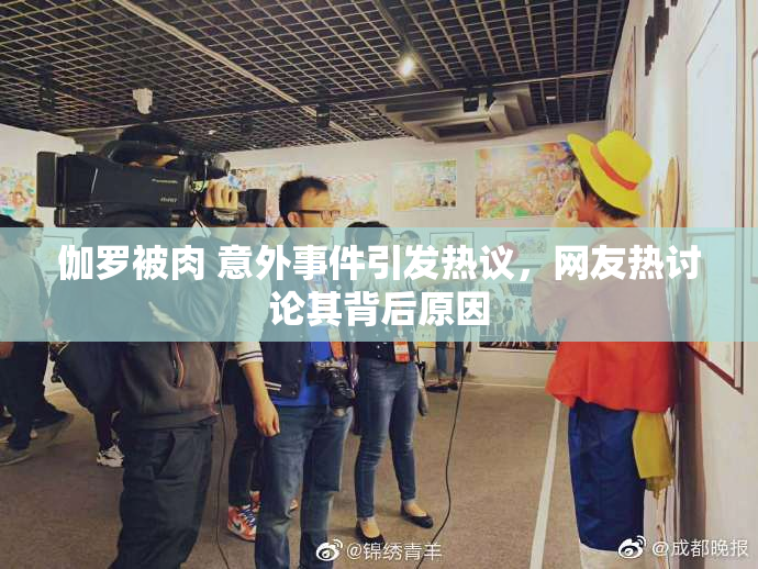 伽罗被肉 意外事件引发热议，网友热讨论其背后原因