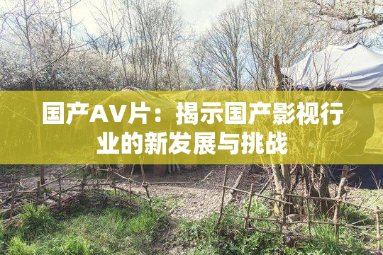 国产AV片：揭示国产影视行业的新发展与挑战