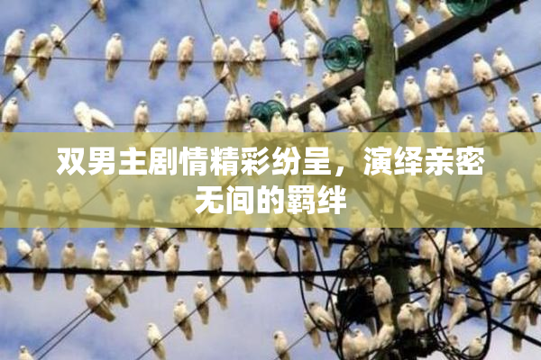双男主剧情精彩纷呈，演绎亲密无间的羁绊