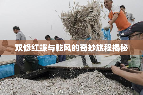 双修红蝶与乾风的奇妙旅程揭秘