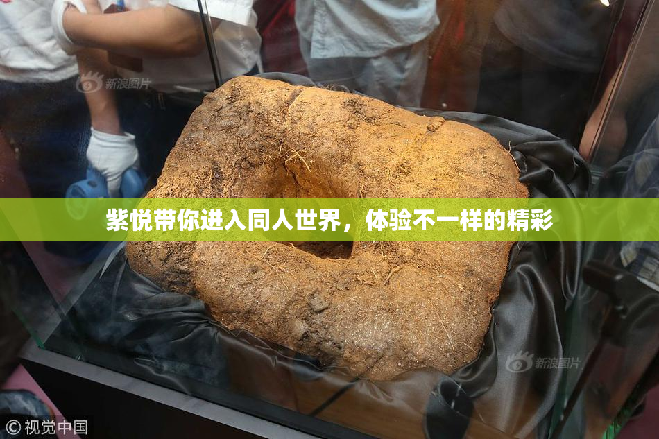 紫悦带你进入同人世界，体验不一样的精彩