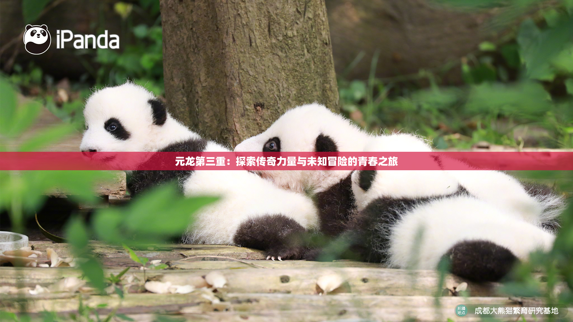 元龙第三重：探索传奇力量与未知冒险的青春之旅