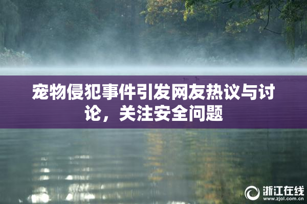 宠物侵犯事件引发网友热议与讨论，关注安全问题