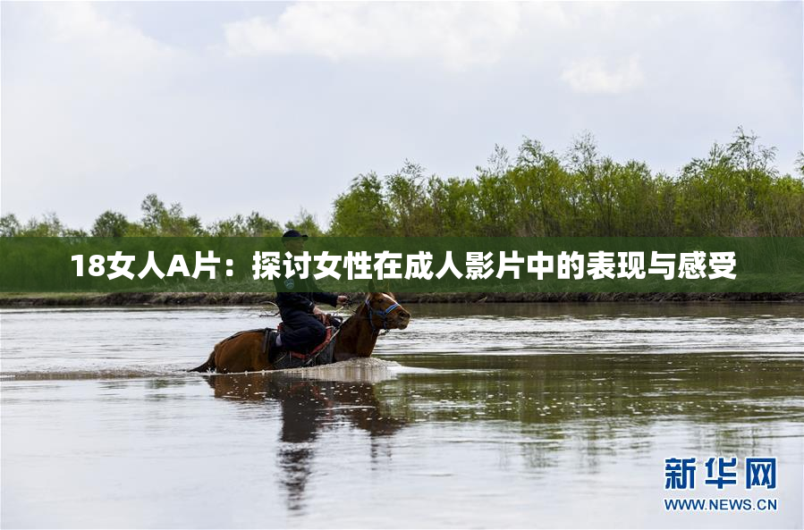 18女人A片：探讨女性在成人影片中的表现与感受