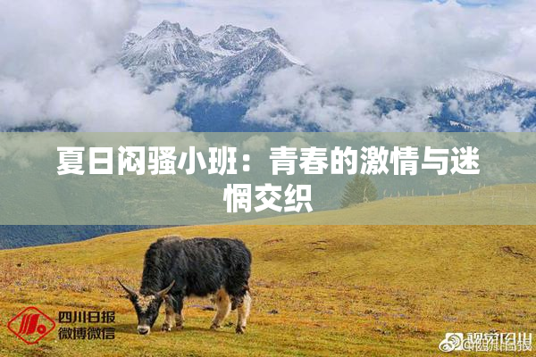 夏日闷骚小班：青春的激情与迷惘交织
